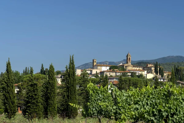 Sommarlandskap Provinsen Arezzo Toscana Italien Nära Gropina — Stockfoto