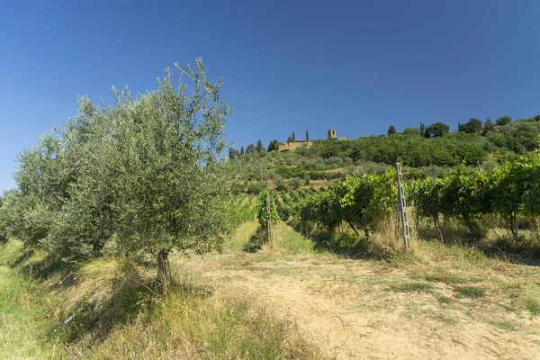 Θερινό Τοπίο Στην Επαρχία Arezzo Τοσκάνη Ιταλία Κοντά Στην Gropina — Φωτογραφία Αρχείου