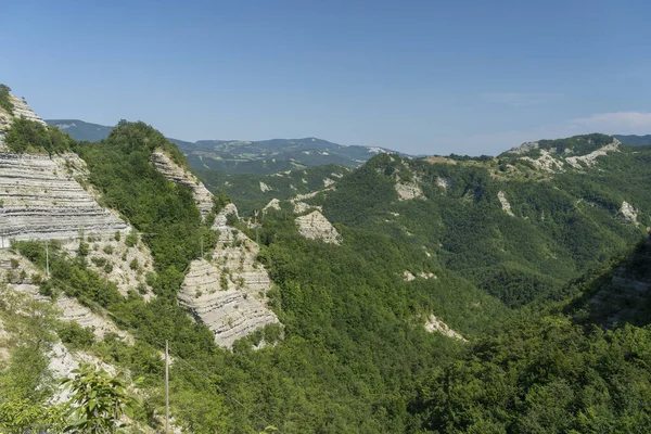 Zomer Landschap Vlakbij Het Klooster Van Verna Arezzo Toscane Italië — Stockfoto