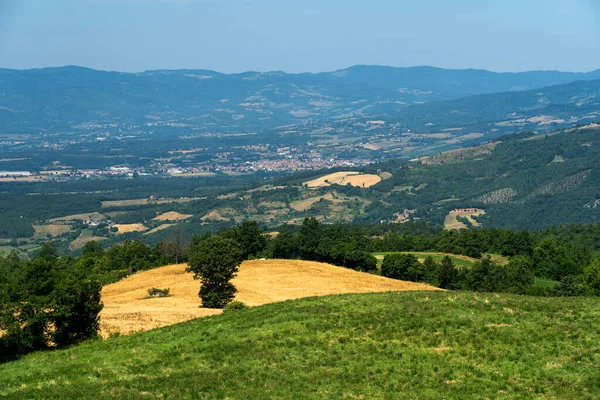 意大利托斯卡纳Arezzo通往La Verna公路沿线的夏季风景 — 图库照片