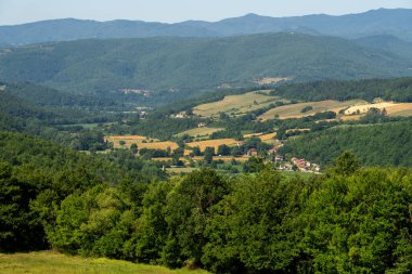 La Verna, Arezzo, Toskana, İtalya 'ya giden yol boyunca yaz manzarası