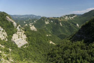 Casentino parkında La Verna, Arezzo, Tuscany, İtalya yakınlarındaki yaz manzarası
