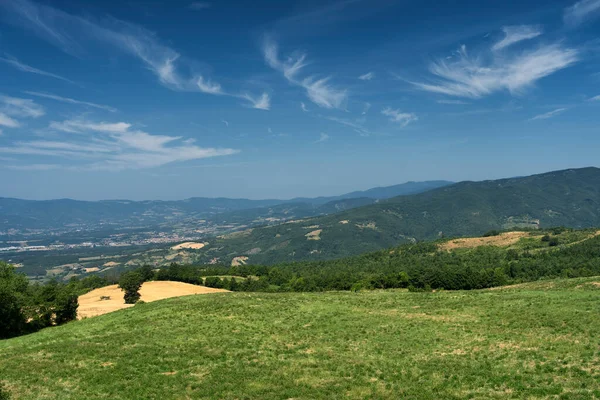 ヴェルナ アレッツォ トスカーナ イタリアへの道に沿って夏の風景 — ストック写真