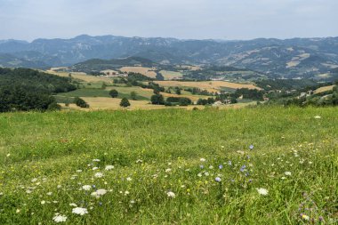 Bagno di Romagna yakınlarındaki yaz manzarası, Forli Cesena, İtalya