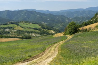 Bagno di Romagna yakınlarındaki yaz manzarası, Forli Cesena, İtalya