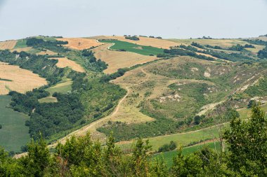 Meldola, Forli Cesena, Emilia Romagna, İtalya yakınlarındaki yaz manzarası