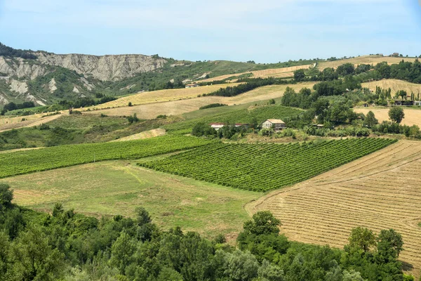 Meldola Forli Cesena Emilia Romagna Talya Yakınlarındaki Yaz Manzarası — Stok fotoğraf