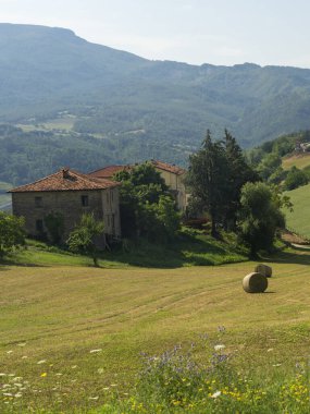 Bagno di Romagna yakınlarındaki yaz manzarası, Forli Cesena, İtalya