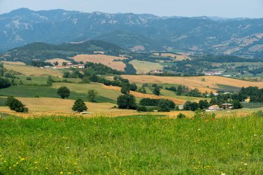 Bagno di Romagna yakınlarındaki yaz manzarası, Forli Cesena, İtalya