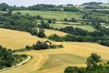 Meldola, Forli Cesena, Emilia Romagna, İtalya yakınlarındaki yaz manzarası