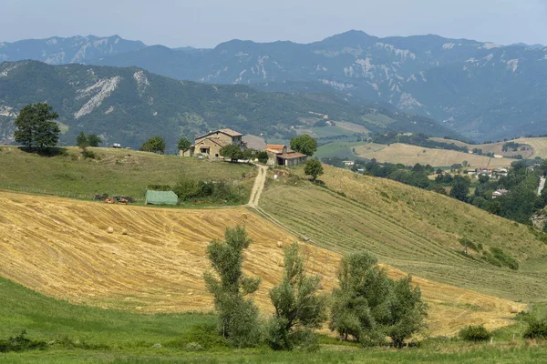 Sommerlandschaft Bei Bagno Romagna Forli Cesena Italien — Stockfoto