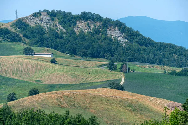 Sommerlandschaft Bei Bagno Romagna Forli Cesena Italien — Stockfoto