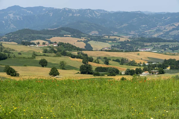 Letní Krajina Poblíž Bagno Romagna Forli Cesena Itálie — Stock fotografie