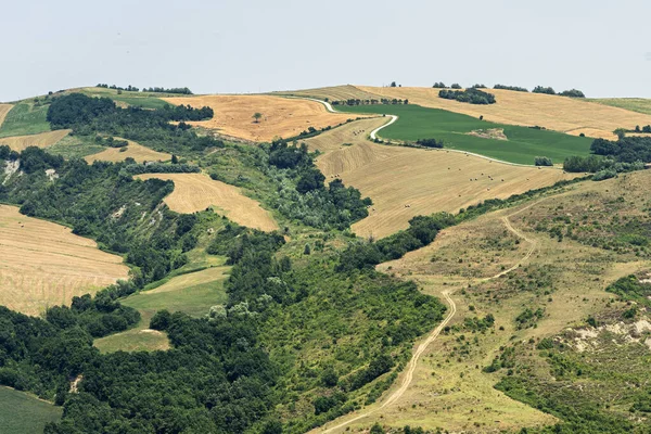 Letní Krajina Meldoly Forli Cesena Emilia Romagna Itálie — Stock fotografie