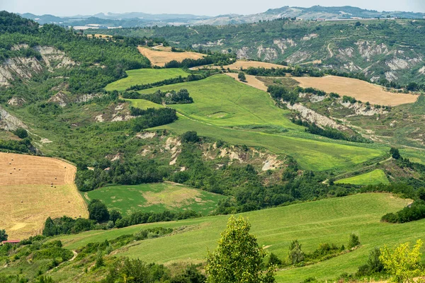 Sommerlandschaft Bei Meldola Forli Cesena Emilia Romagna Italien — Stockfoto