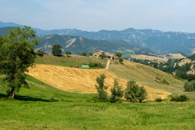 Bagno di Romagna yakınlarındaki yaz manzarası, Forli Cesena, İtalya