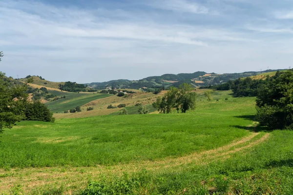 Letni Krajobraz Pobliżu Bagno Romagna Forli Cesena Włochy — Zdjęcie stockowe