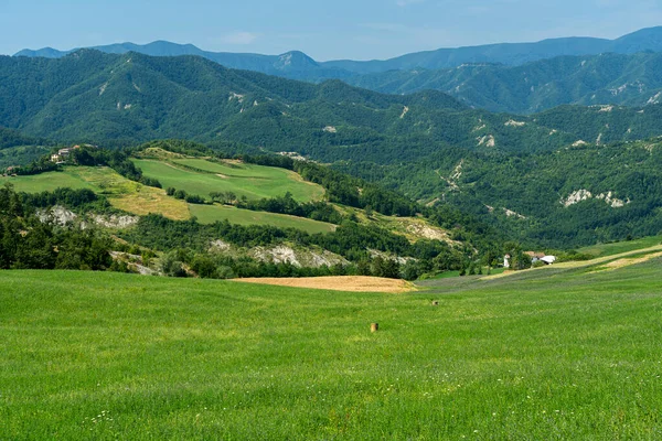 Paesaggio Estivo Vicino Bagno Romagna Forli Cesena Italia — Foto Stock