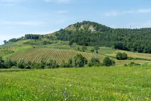 Sommerlandschaft Bei Bagno Romagna Forli Cesena Italien — Stockfoto