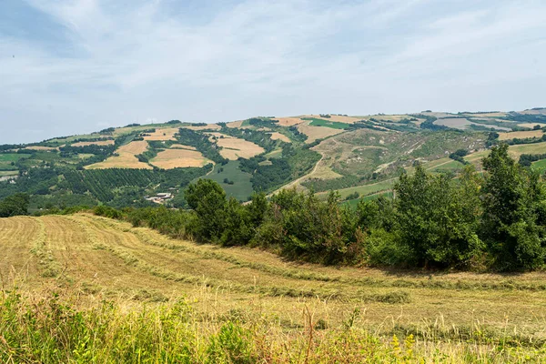 意大利埃米莉亚罗马纳Forli Cesena Meldola附近的夏季风景 — 图库照片