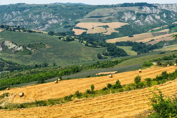 Nyári Táj Közelében Meldola Forli Cesena Emilia Romagna Olaszország — Stock Fotó