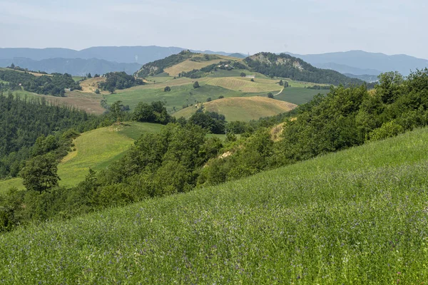 Летний Пейзаж Рядом Bagno Romagna Форли Чезена Италия — стоковое фото