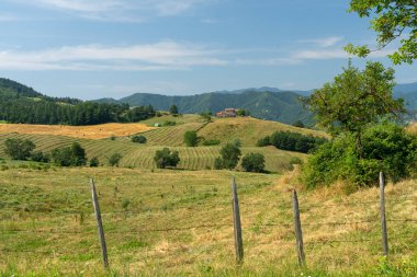 Bagno di Romagna yakınlarındaki yaz manzarası, Forli Cesena, İtalya