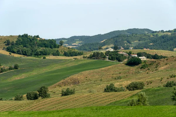Летний Пейзаж Рядом Bagno Romagna Форли Чезена Италия — стоковое фото