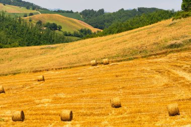 Bagno di Romagna yakınlarındaki yaz manzarası, Forli Cesena, İtalya