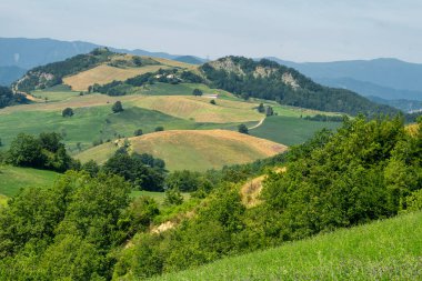 Bagno di Romagna yakınlarındaki yaz manzarası, Forli Cesena, İtalya