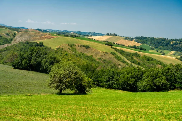 Сільський Ландшафт Влітку Rivalta Lesignano Bagni Parma Emilia Romagna Italy — стокове фото