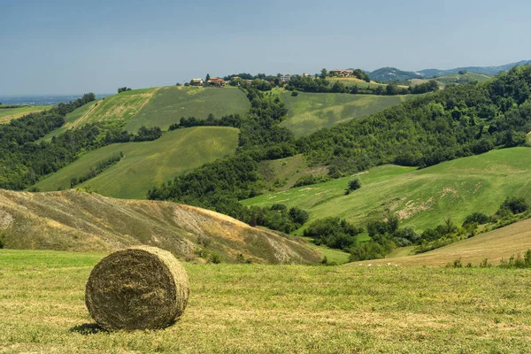 Εξοχικό Τοπίο Καλοκαίρι Στη Rivalta Lesignano Bagni Parma Emilia Romagna — Φωτογραφία Αρχείου