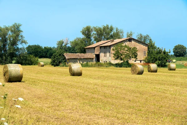 Krajina Létě Provincii Reggio Emilia Mezi Městy Quattro Castella Albinea — Stock fotografie