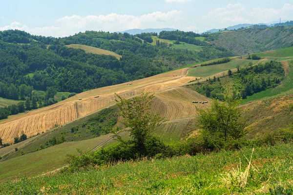 Country Landscape Summer Rivalta Lesignano Bagni Parma Emilia Romagna Italy — Stock Photo, Image