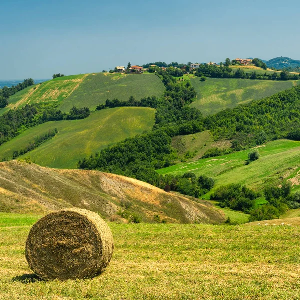 Landskap Sommaren Rivalta Lesignano Bagni Parma Emilia Romagna Italien — Stockfoto