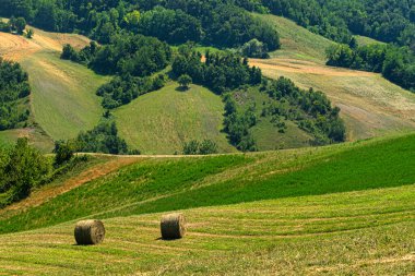 Yazın Rivalta di Lesignano Bagni, Parma, Emilia-Romagna, İtalya 'da kır manzarası