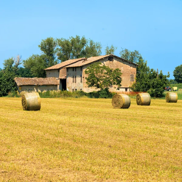 Paisagem Rural Verão Província Reggio Emilia Entre Quattro Castella Albinea — Fotografia de Stock
