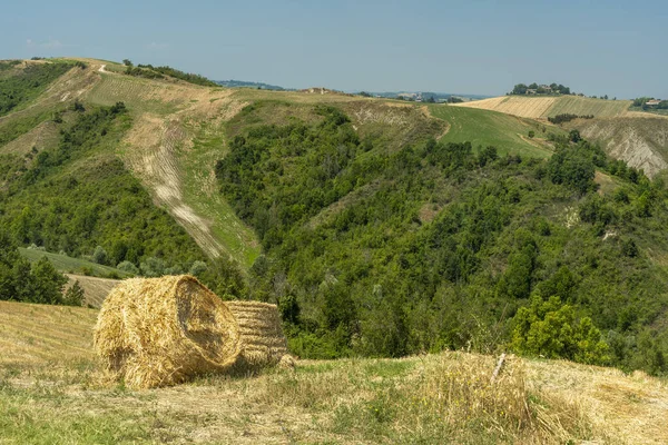 Country landscape at summer at Rivalta di Lesignano Bagni, Parma, Emilia-Romagna, Italy