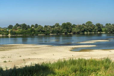 İtalya 'nın Lombardy eyaletindeki Po Nehri bisiklet yolu boyunca yaz manzarası. Su kuşları