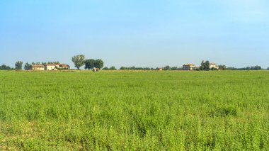 Vicofertile yakınlarındaki kırsal alan, Parma ili, Emilia-Romagna, İtalya, yaz mevsiminde.