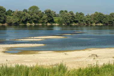 İtalya 'nın Lombardy eyaletindeki Po Nehri bisiklet yolu boyunca yaz manzarası. Su kuşları