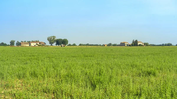 Vicofertile yakınlarındaki kırsal alan, Parma ili, Emilia-Romagna, İtalya, yaz mevsiminde.