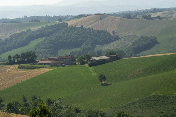 Venkovská Krajina Poblíž Medesana Provincie Parma Emilia Romagna Itálie Létě — Stock fotografie