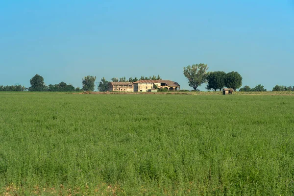 夏にイタリアのエミリア ロマーニャ州パルマ州のヴィコ肥沃な近くの農村風景 — ストック写真