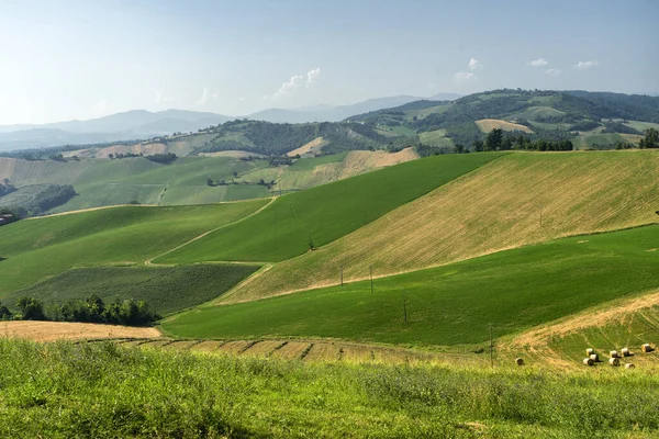 Paisaje Rural Cerca Medesano Provincia Parma Emilia Romaña Italia Verano — Foto de Stock