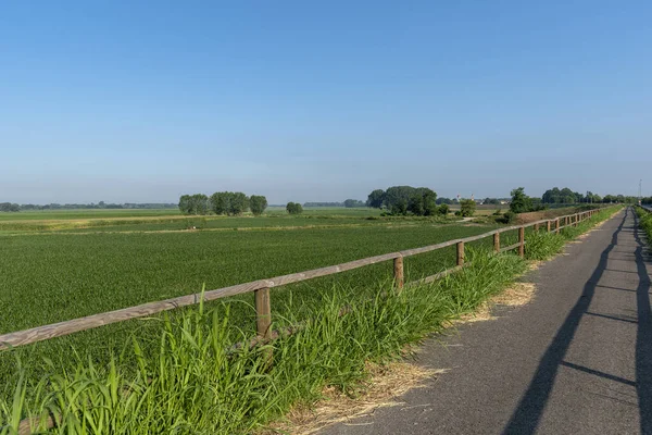 Sommerlandschaft Radweg Des Der Provinz Lodi Lombardei Italien — Stockfoto