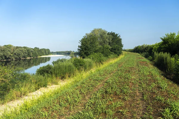 Letni Krajobraz Wzdłuż Ścieżki Rowerowej Rzeki Czyli Prowincji Lodi Lombardia — Zdjęcie stockowe