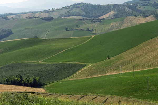 Landsbygdslandskap Nära Medesano Parmaprovinsen Emilia Romagna Italien Sommaren — Stockfoto