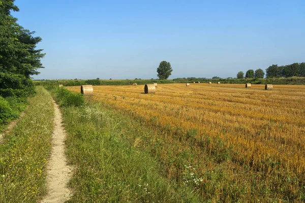 Zomer Landschap Langs Het Fietspad Van Rivier Iin Provincie Lodi — Stockfoto