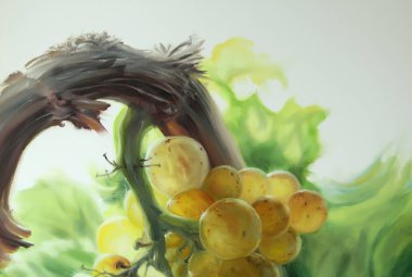 Sarı üzüm chardonnay üzeri yağlıboya